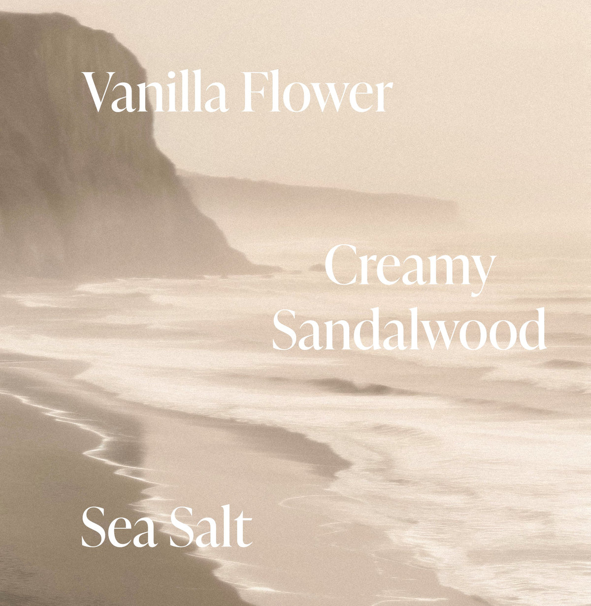Salt Water Vanilla - Body Oil